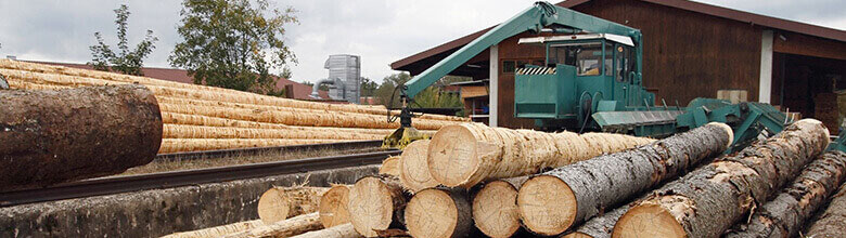 Forestry and Lumber