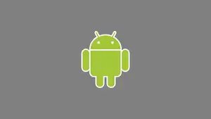 How to Enable Developer Options on Any Android Device
